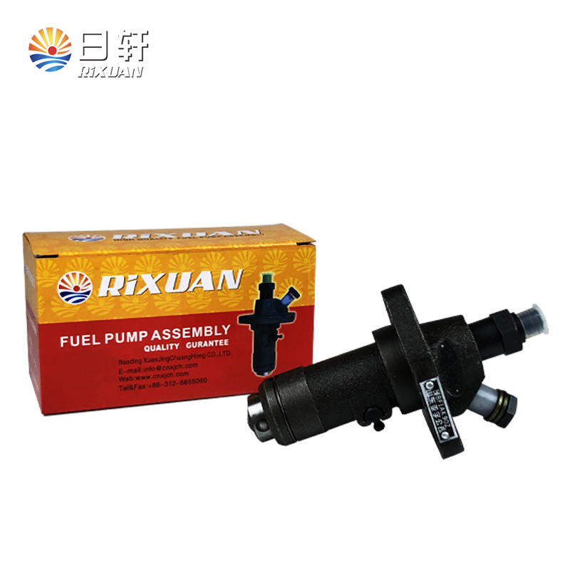 Rixuan ZS1115G Pompe d'injection